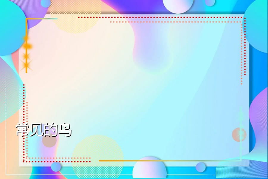 常见的鸟