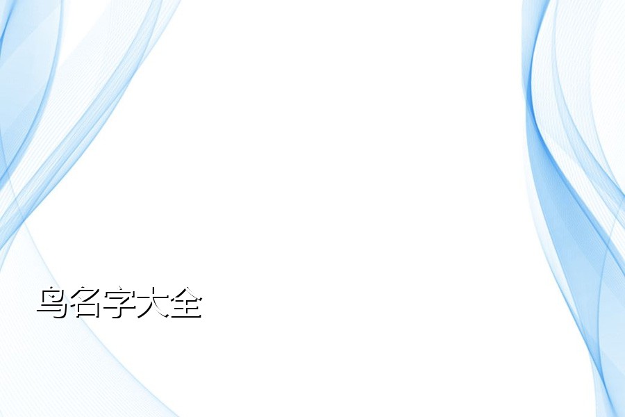 鸟名字大全